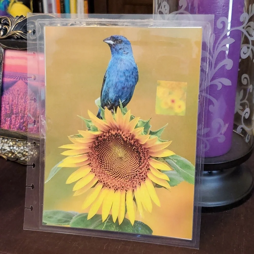 Handmade Cover For A Classic Sized Disc Bound Planner sunflowers and birds